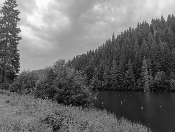 Dağlarda gölü olan güzel bir manzara.