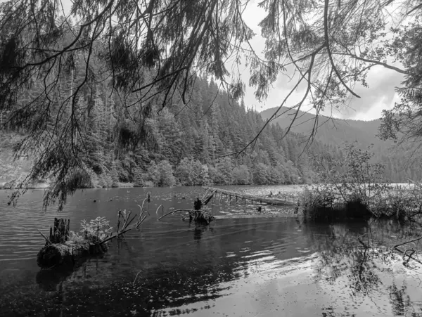 Güzel bir dağ gölünün siyah beyaz fotoğrafı