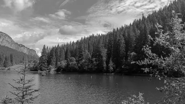 Siyah ve beyazın kayalık dağı