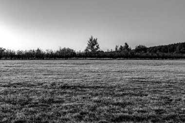 Tarladaki genç bir adamın siyah beyaz fotoğrafı.