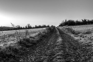 Bir yolun ve tarlanın siyah beyaz fotoğrafı