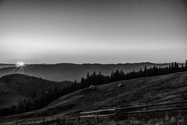 Karpat Dağlarının güzel doğası