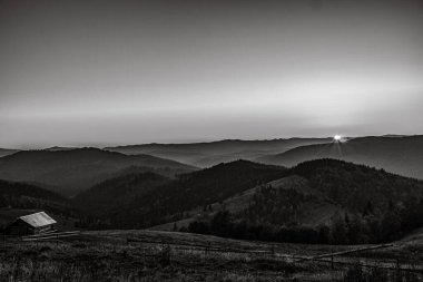 Ağaçlarla dolu bir tarlası ve bir dağ sırası olan güzel bir manzara.