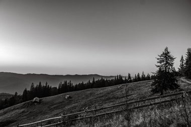 Dağları ve ormanı olan güzel bir manzara.