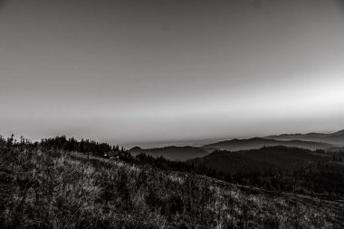 Yazın Karpat Dağları 'nın siyah ve beyaz manzarası. Ukrayna, Karpatlar, Siyah ve Beyaz.