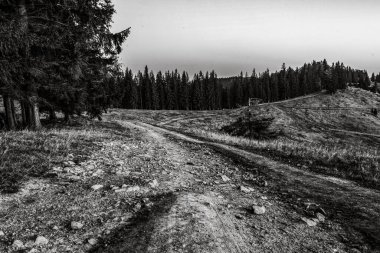 Dağların güzel manzarası