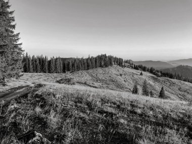 Sonbaharda Karpatlar 'da dağ manzarası