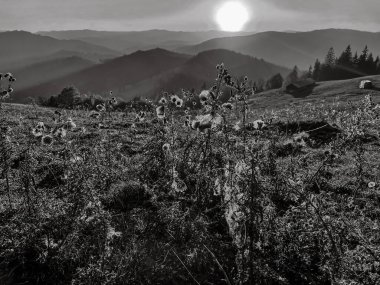 Dağları ve dağları olan güzel bir manzara