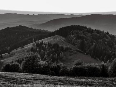 Arkasında ağaçlar olan dağların güzel bir görüntüsü - siyah ve beyaz.