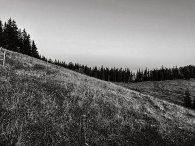 Karpat Dağları 'ndaki siyah ve beyaz manzara.