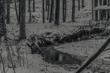 Karlı ve ağaçlı kış ormanı.