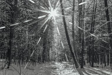 Güzel karlı kış manzarası