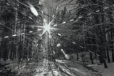 Karla kaplı ağaçlarla kaplı kış manzarası