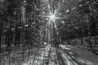 Bir yolu olan güzel kış manzarası