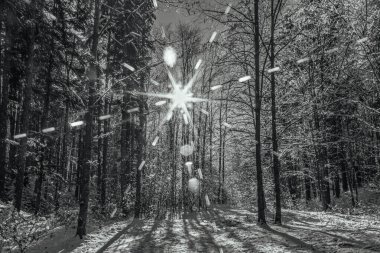 Parkta karla kaplı ağaçlarla kaplı kış manzarası