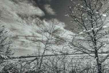 Karlı kış manzarası