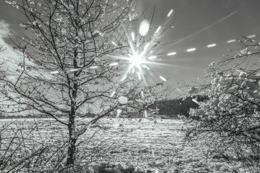 kızdan sonra banyo havlusu