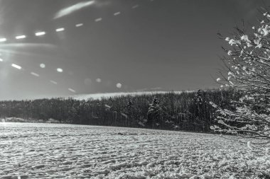 Karla kaplı ağaçları olan güzel bir manzara.