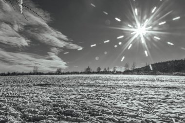 karla kaplı ağaçlar ve güzel bir gökyüzü.