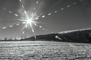 Ağaçlar Noel arka plan kar ile kaplı