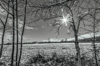 Karla kaplı ağaçlarla kaplı güzel kış manzarası