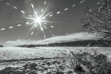Dağlardaki ormanın güzel manzarası