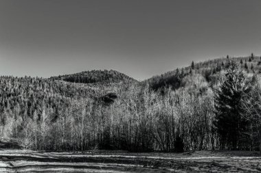 Dağları ve ağaçları olan güzel bir manzara.