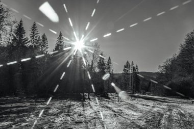 Karla kaplı bir ormanın güzel kış manzarası.