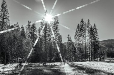 Dağlı güzel bir manzara, seyahat