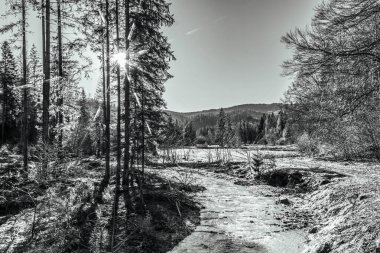 Karlı kış manzarası - tepeli dağlar