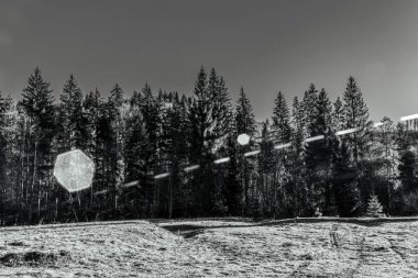 Karpat Dağları 'ndaki kış manzarası