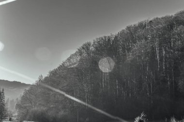 Ormanda nehri olan güzel bir manzara.