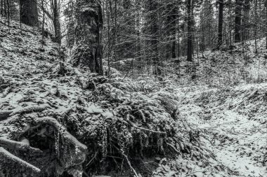 İtalyan Alpleri'nde kış.