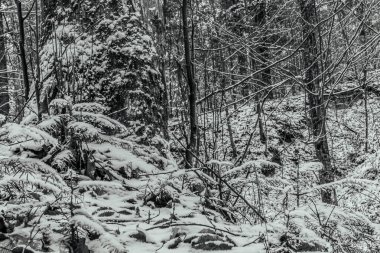 Kırsal kesimde kış karları kaplıydı.