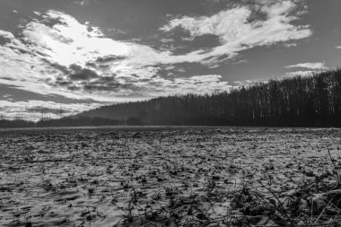 Karla kaplı ağaçlarla kaplı kış manzarası