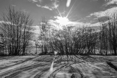Ağacı ve tarlası olan güzel bir manzara.