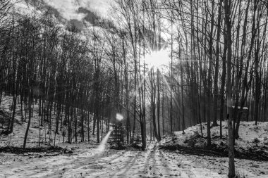 Parkın güzel manzarası