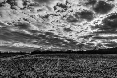 Kırsalda kış tarlaları