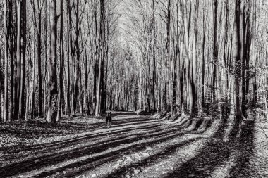 Doğanın güzel manzarası