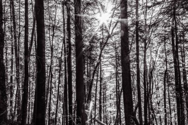 Dağların güzel manzarası.