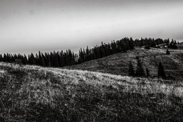 Dağlarda dağları olan güzel bir manzara.