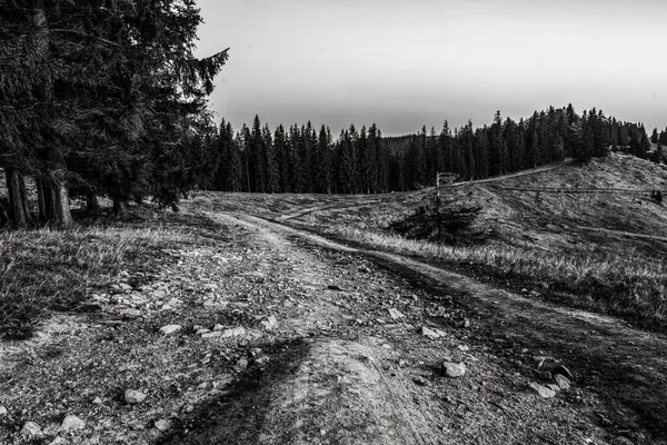 Dağların güzel manzarası