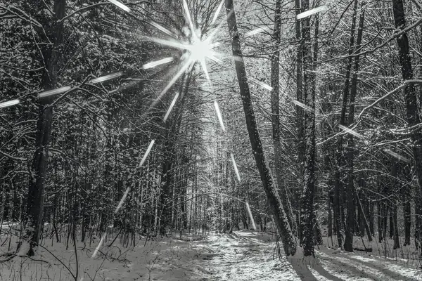 Güzel karlı kış manzarası