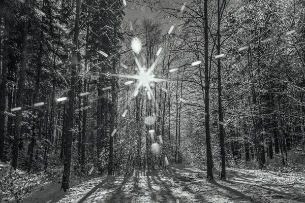 Parkta karla kaplı ağaçlarla kaplı kış manzarası