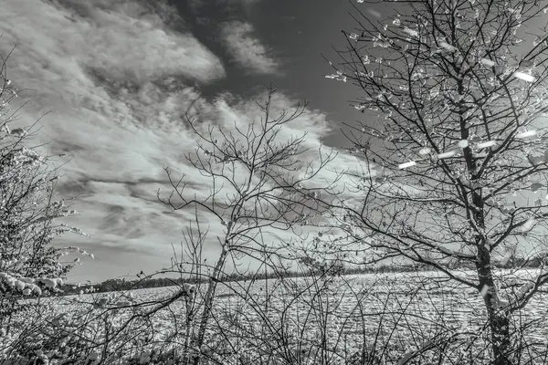 Karlı kış manzarası