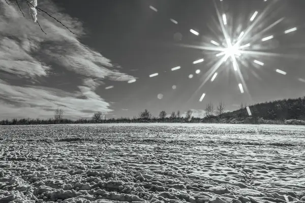 karla kaplı ağaçlar ve güzel bir gökyüzü.