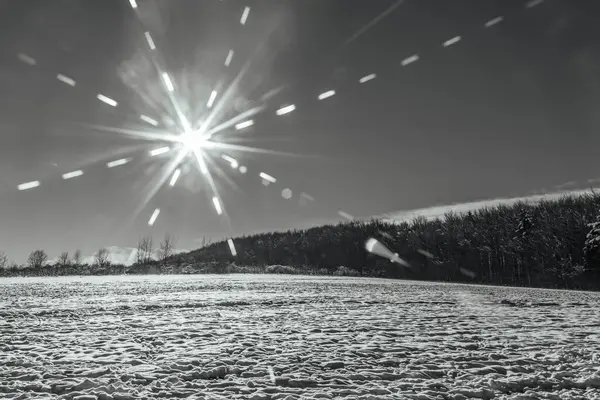 Ağaçlar Noel arka plan kar ile kaplı