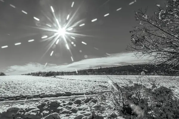 Dağlardaki ormanın güzel manzarası
