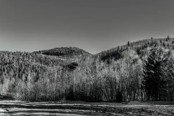 Dağları ve ağaçları olan güzel bir manzara.