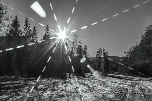 Karla kaplı bir ormanın güzel kış manzarası.